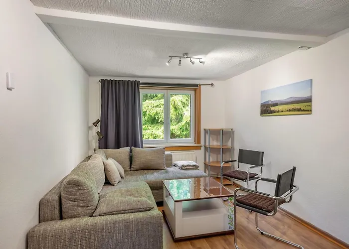 Apartamento In Benneckenstein