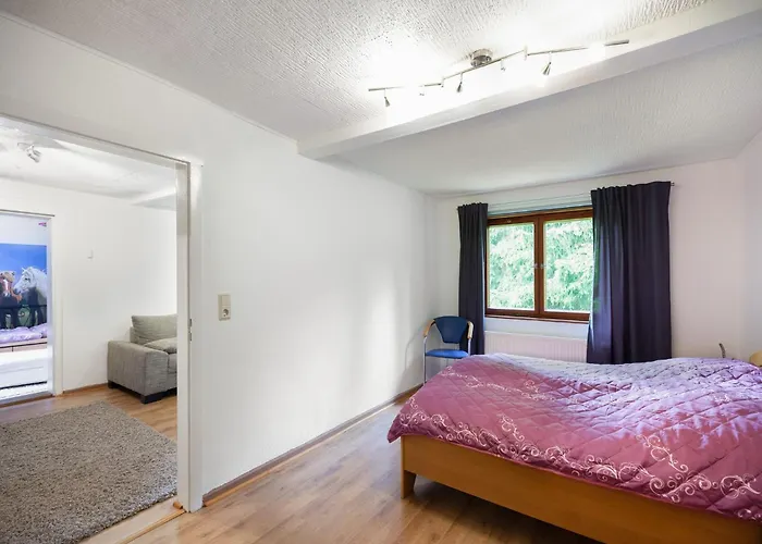 Apartamento In Benneckenstein